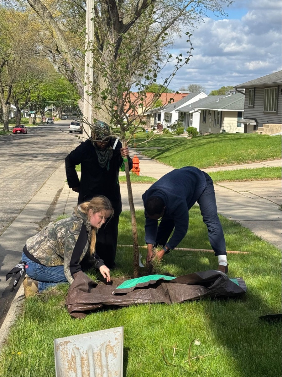 Ayub planting a tree with neighbors